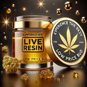 Experience the Best Live Resin from Low Price Bud