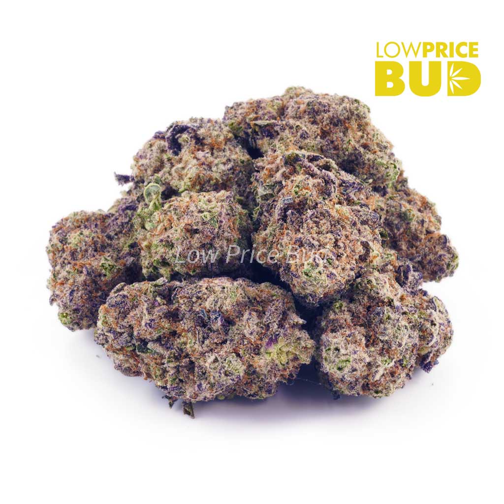 Buy Slurricane (AAAA) online Canada