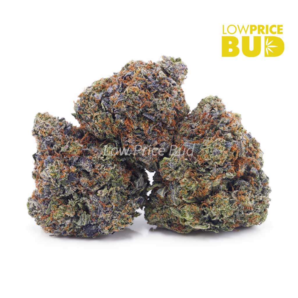 Pink Ice Cream Cake (Craft Cannabis) - Low Price Bud