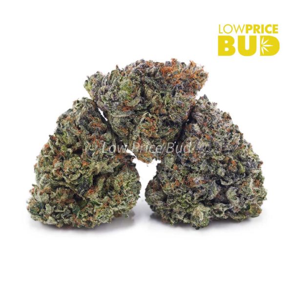 Buy Vintage Blueberry (Craft Cannabis) online Canada