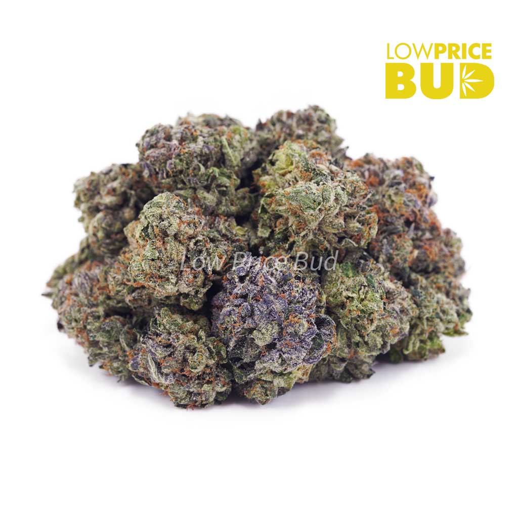 Buy Vintage Blueberry (Craft Cannabis) online Canada