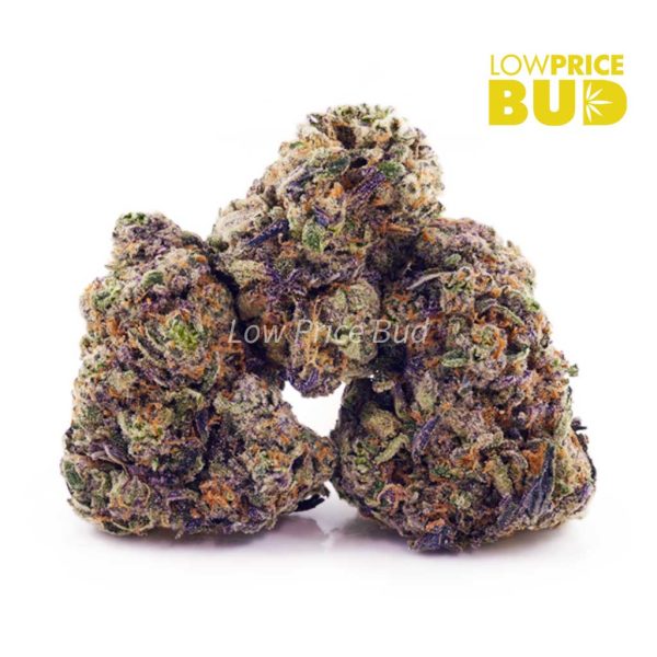 Buy Cali Bubba (AA) online Canada