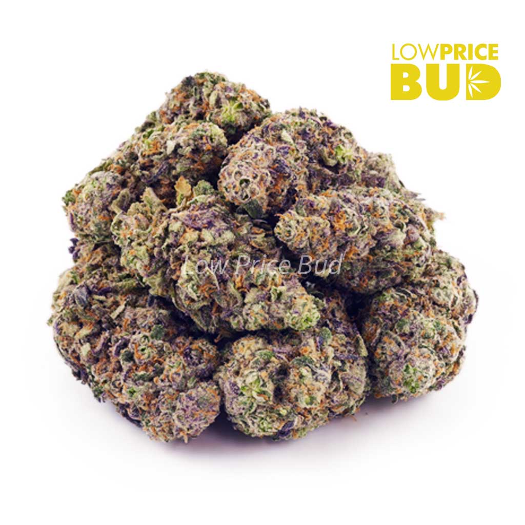 Buy Cali Bubba (AA) online Canada