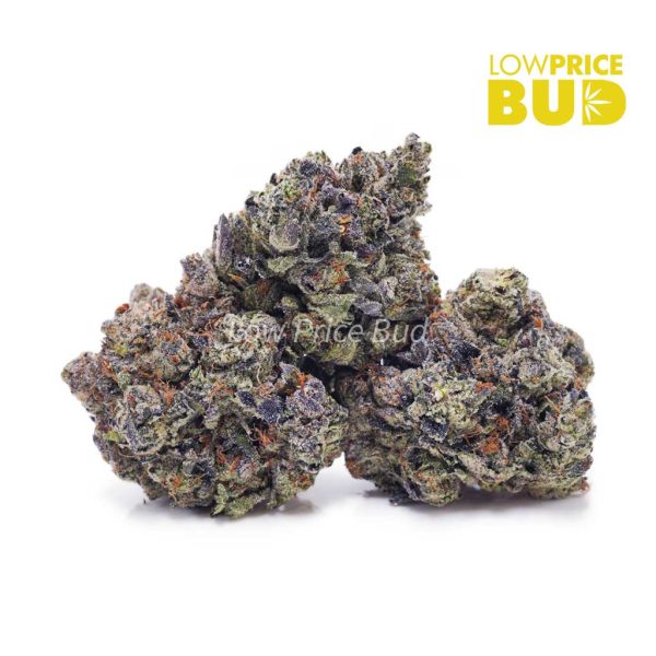 Buy Skywalker OG (AAAA) online Canada