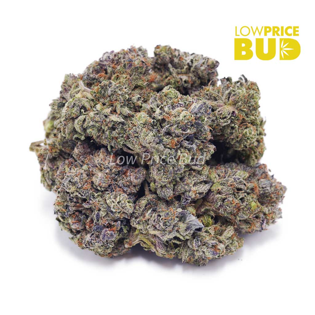 Buy Skywalker OG (AAAA) online Canada