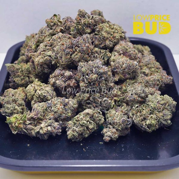 Buy Skywalker OG (AAAA) online Canada
