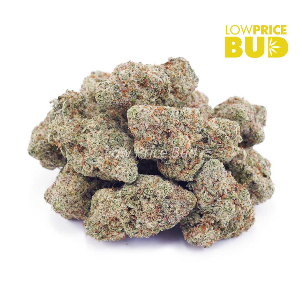 Buy White Skunk (AAA) online Canada