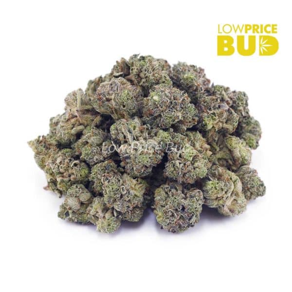Buy Rockstar (AAAA) – Popcorn Nugs online Canada