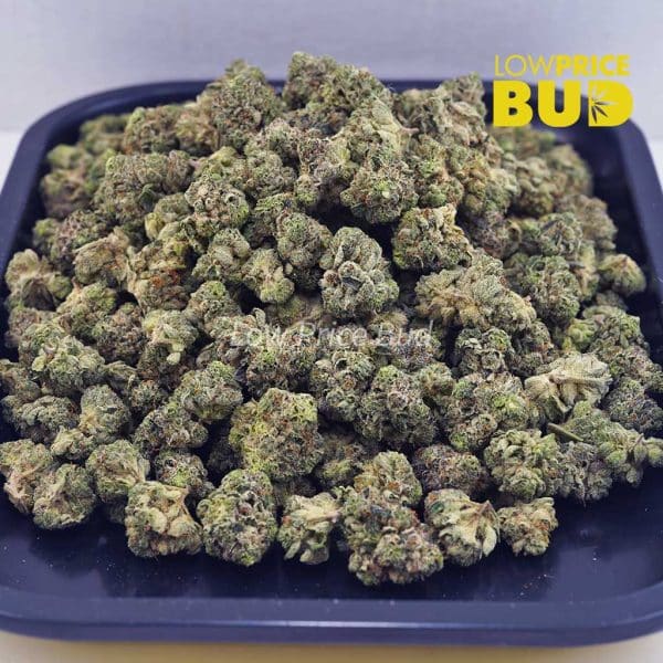 Buy Rockstar (AAAA) – Popcorn Nugs online Canada