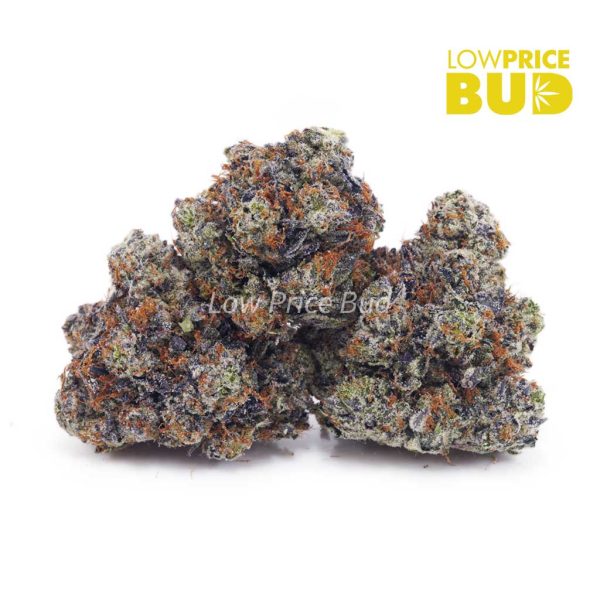 Buy Gassy Gelato (Craft Cannabis) online Canada