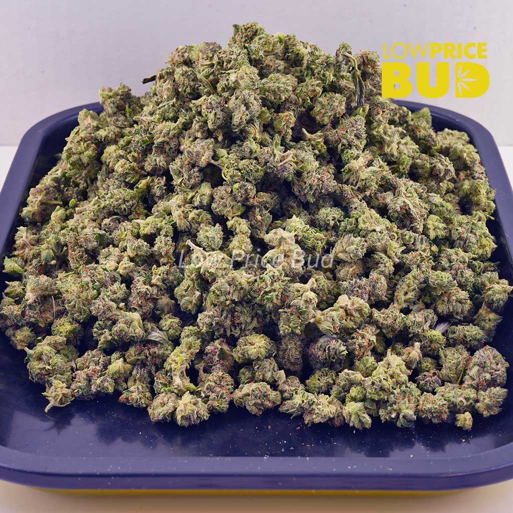 Buy Astro Pink (AAAA) – Popcorn Nugs online Canada