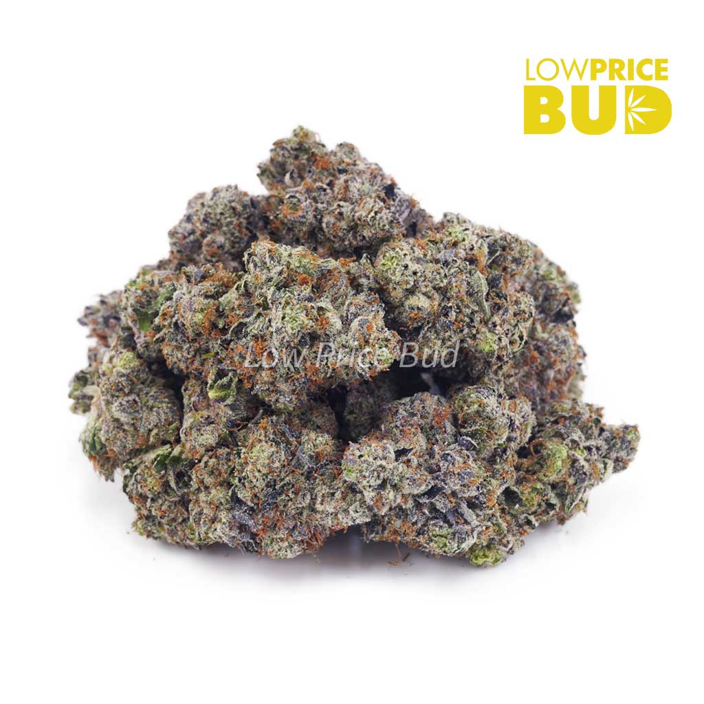 Buy Gassy Gelato (Craft Cannabis) online Canada