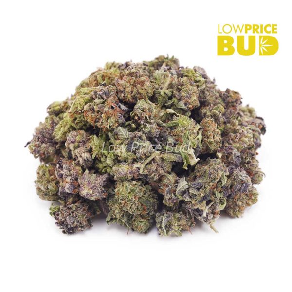 Buy Purple Punch (AAAA) – Popcorn Nugs online Canada