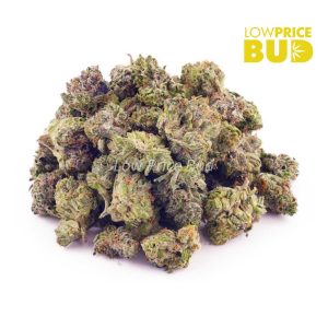 Buy Galactic Gas (AAAA) – Popcorn Nugs online Canada