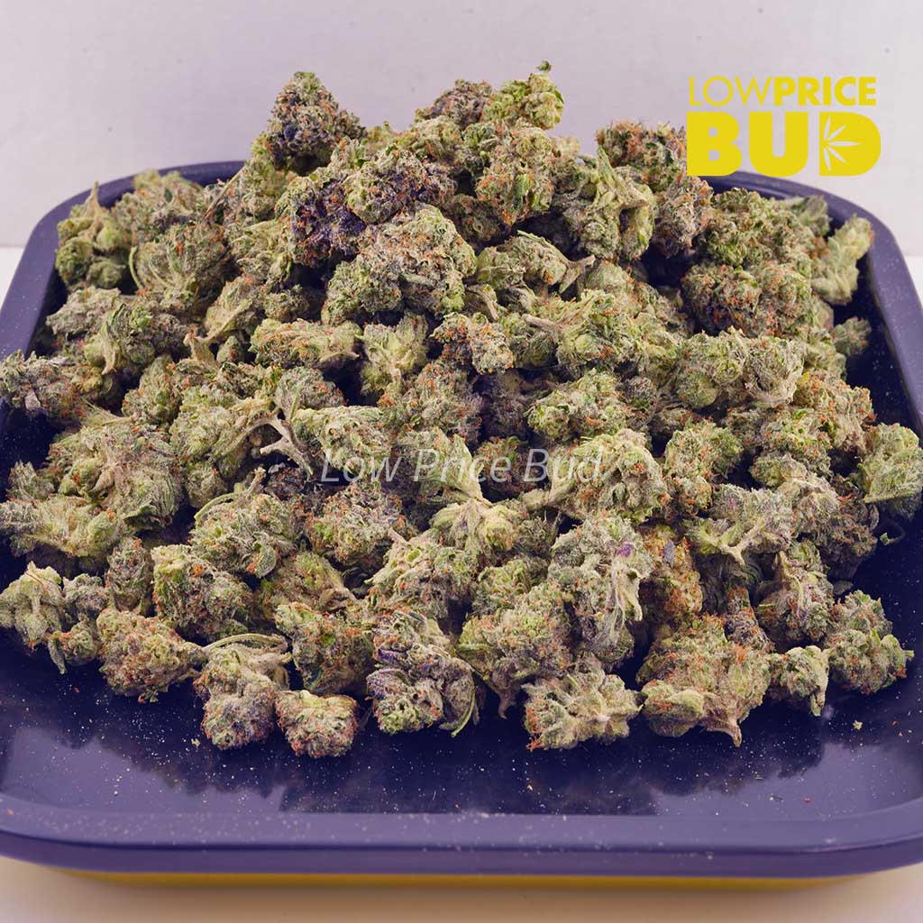 Buy Galactic Gas (AAAA) – Popcorn Nugs online Canada