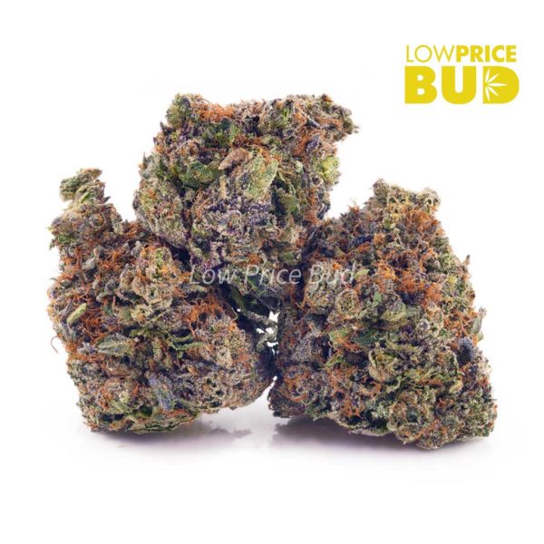 Buy Hindu Kush (AAAA) online Canada