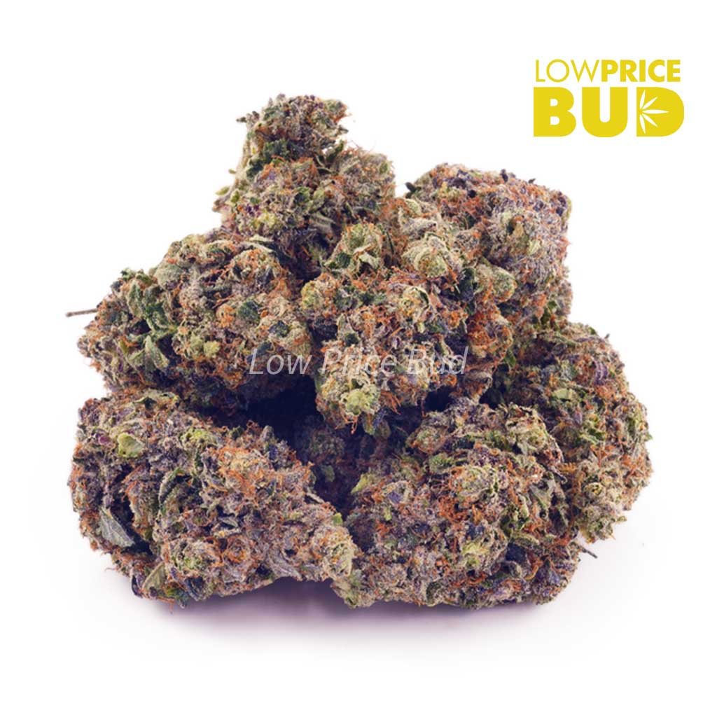 Buy Hindu Kush (AAAA) online Canada