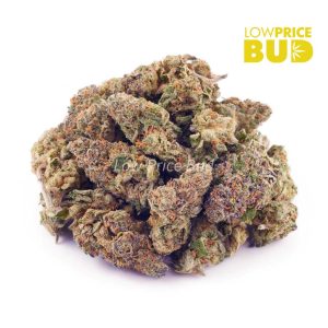 Buy Astro Cookies (AAAA) – Popcorn Nugs online Canada