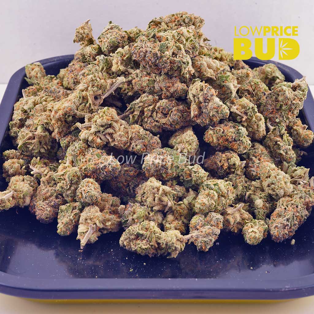 Buy Astro Cookies (AAAA) – Popcorn Nugs online Canada