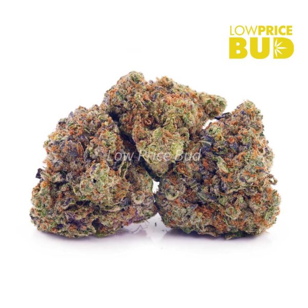 Buy White Fire OG (AAAA) online Canada