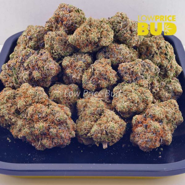 Buy White Fire OG (AAAA) online Canada