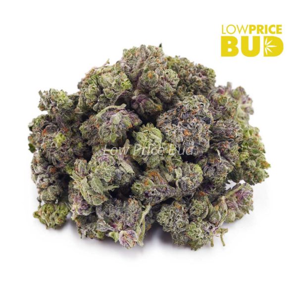 Buy Pink Goo (AAAA) – Popcorn Nugs online Canada