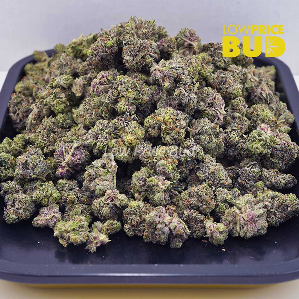 Buy Pink Goo (AAAA) – Popcorn Nugs online Canada