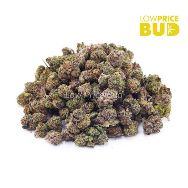 Buy Purple Gelato (AAAA) – Popcorn Nugs online Canada
