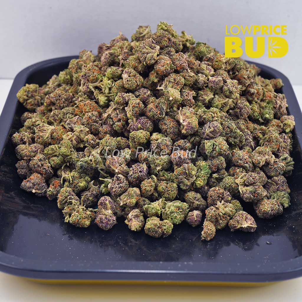 Buy Purple Gelato (AAAA) – Popcorn Nugs online Canada