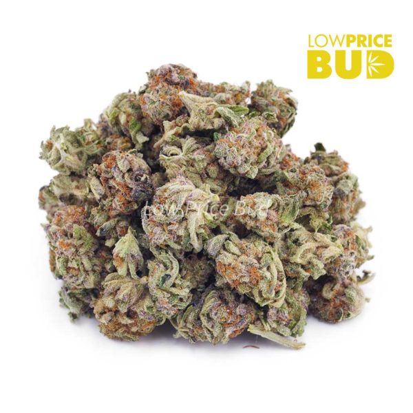 Buy Monster Cookies (AAAA) – Popcorn Nugs online Canada