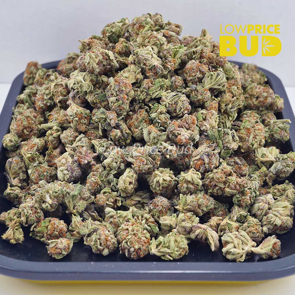 Buy Monster Cookies (AAAA) – Popcorn Nugs online Canada