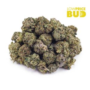 Buy Pink Champagne (AAAA) – Popcorn Nugs online Canada