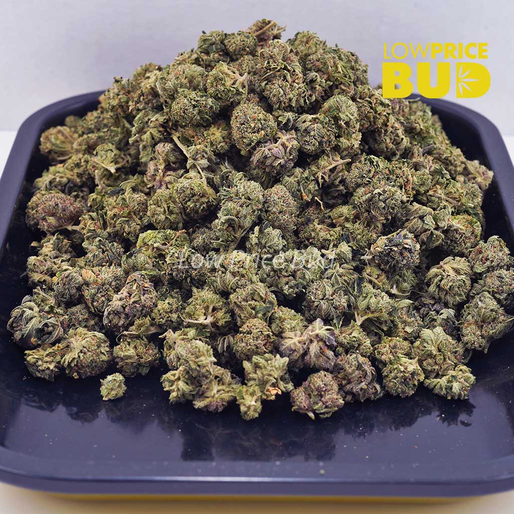 Buy Pink Champagne (AAAA) – Popcorn Nugs online Canada