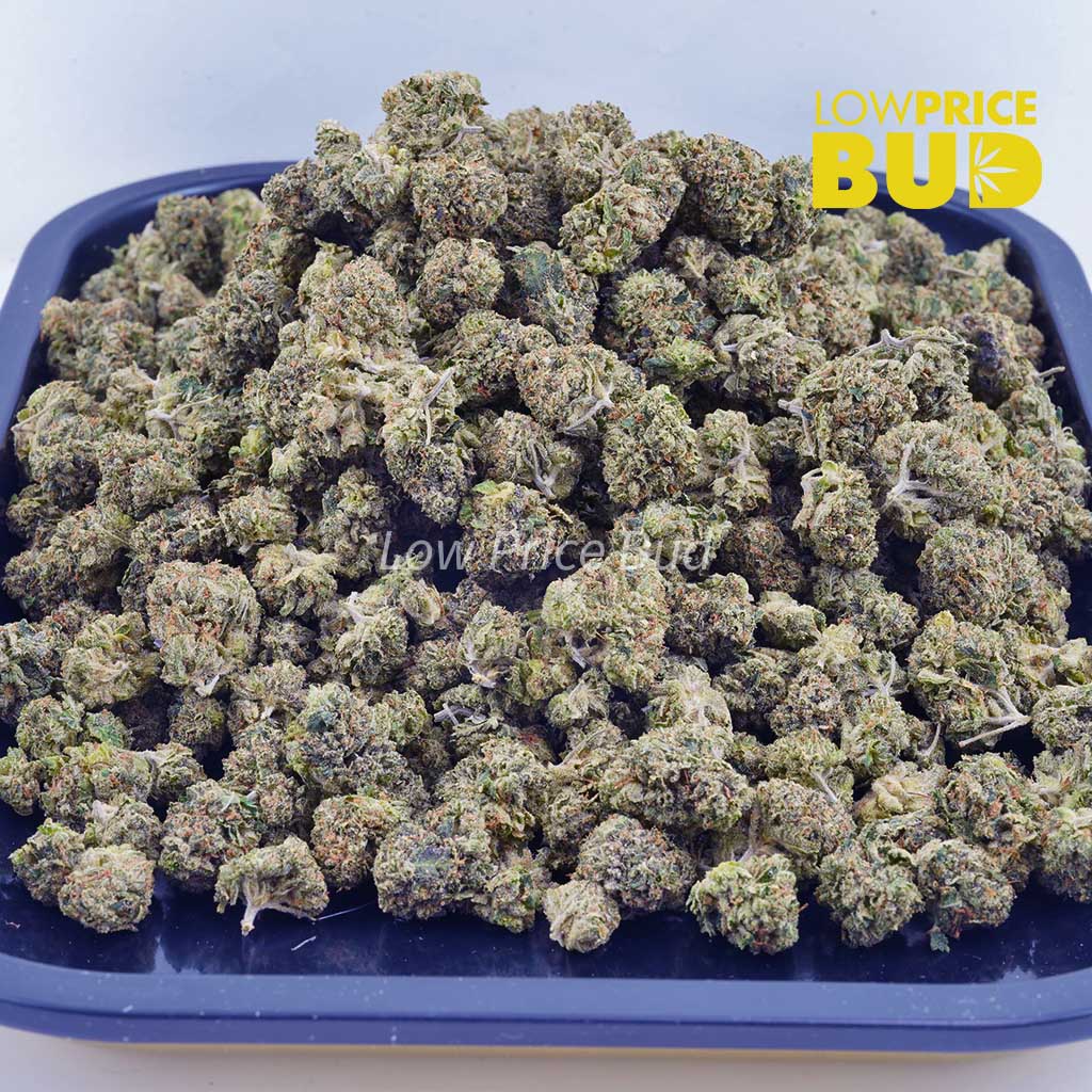 Buy Banana Punch (AAAA) – Popcorn Nugs online Canada