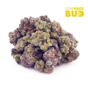 Buy Dragon’s Breath (AAAA) – Popcorn Nugs online Canada