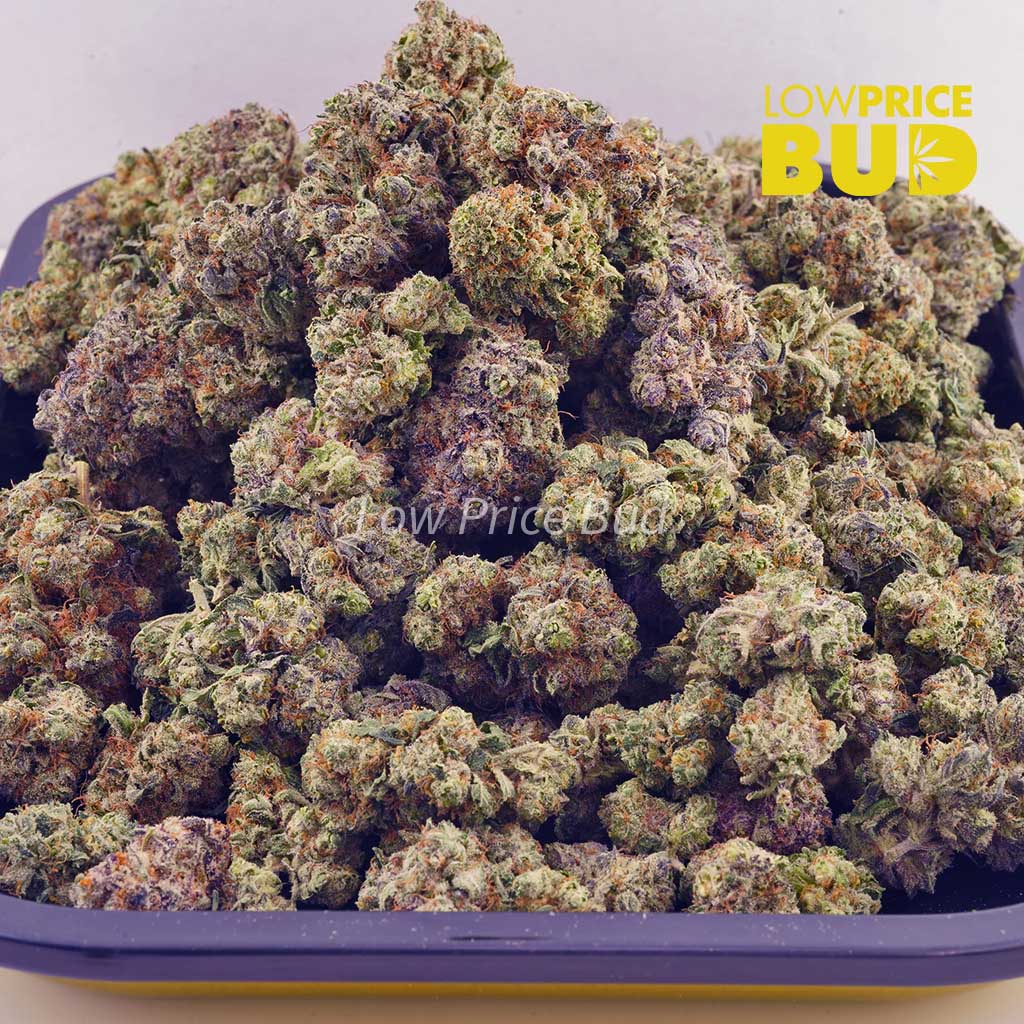 Buy Dragon’s Breath (AAAA) – Popcorn Nugs online Canada