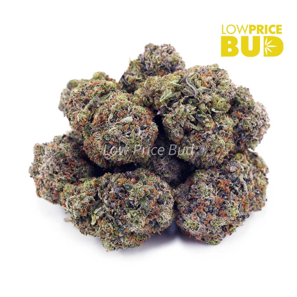 Buy Pink Tuna (AAAA) online Canada