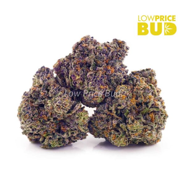Buy Purple Space Cookies (Craft Cannabis) online Canada