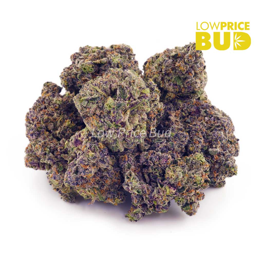 Buy Purple Space Cookies (Craft Cannabis) online Canada