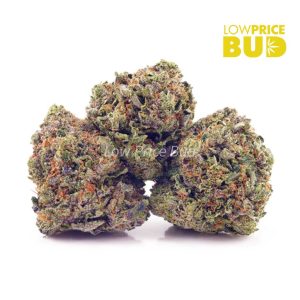 Buy Holy Grail (AAA) online Canada