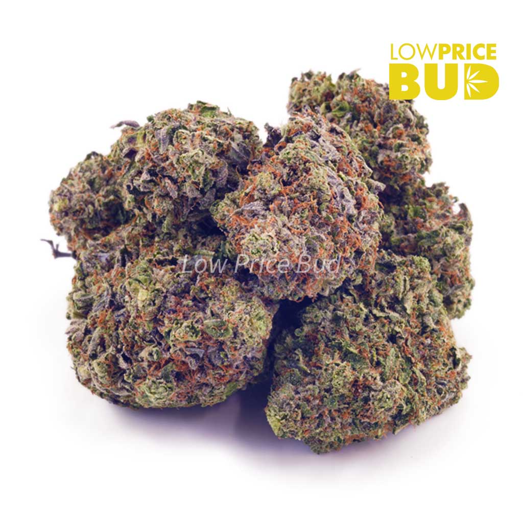 Buy Holy Grail (AAA) online Canada