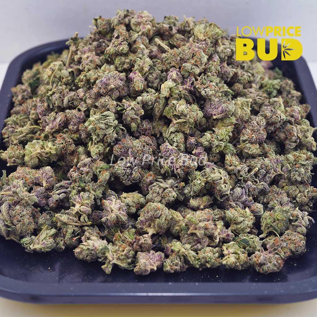 Buy Pink Bubba (AAAA) – Popcorn Nugs online Canada