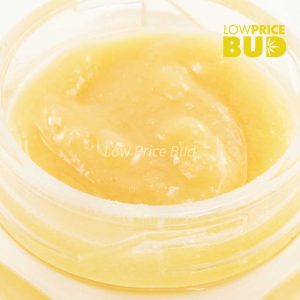 Buy Caviar – Gas Mask online Canada