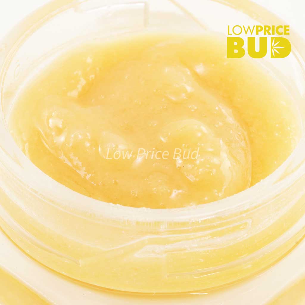 Buy Caviar – Gas Mask online Canada