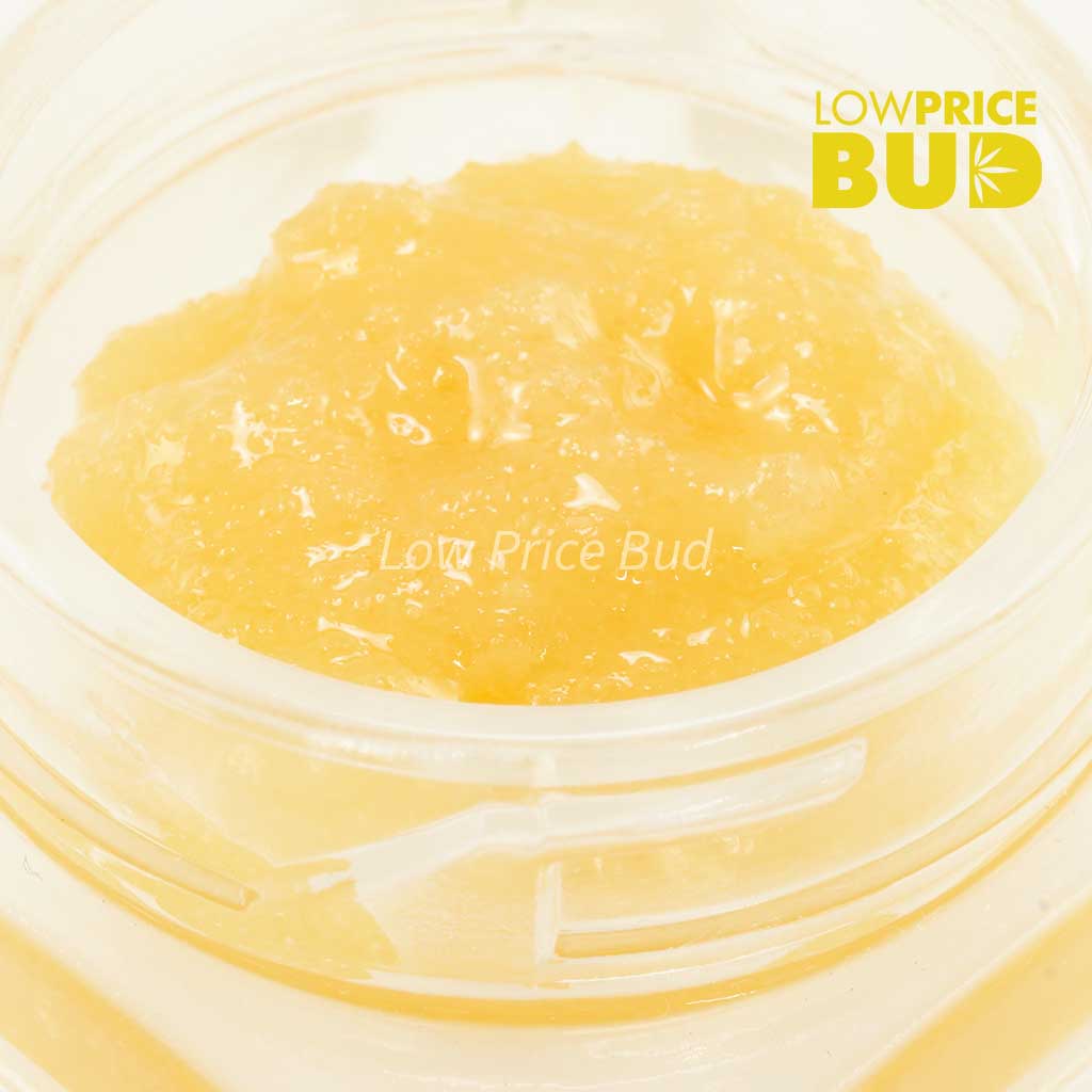 Buy Live Resin – Tom Ford Pink Kush online Canada