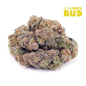 Strawberry Cheesecake (AAA) Buy Strawberry Cheesecake (AAA) online Canada