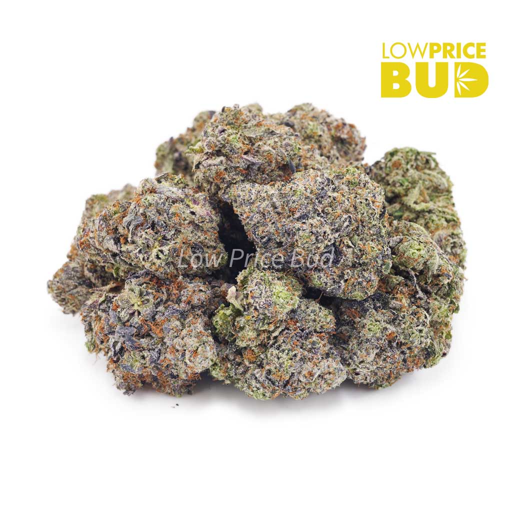 Buy Bruce Banner (AAA) online Canada