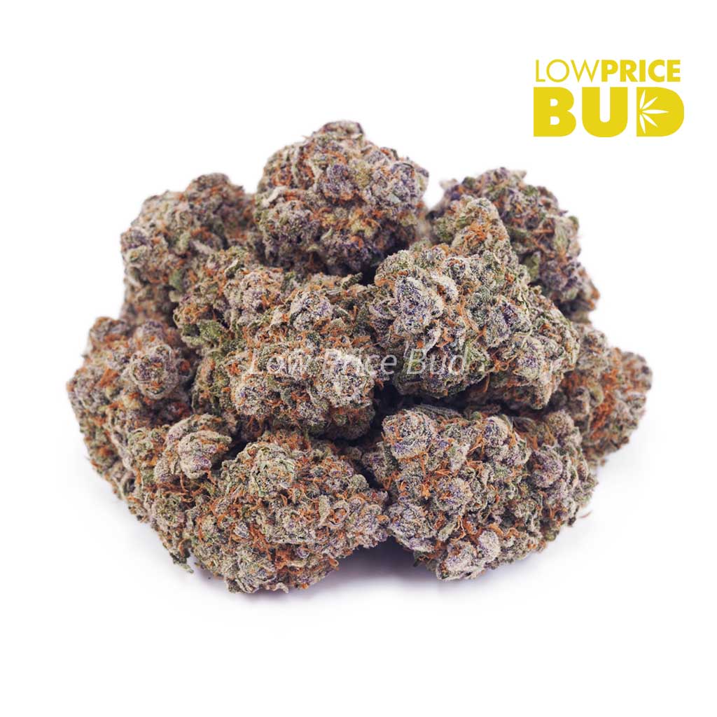 Buy Master Yoda (AA) online Canada