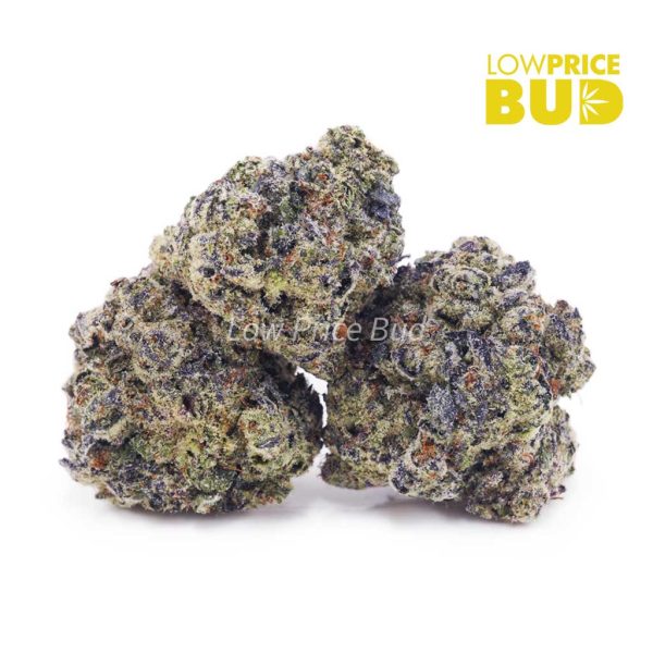 Buy Donkey Breath (Craft Cannabis) online Canada