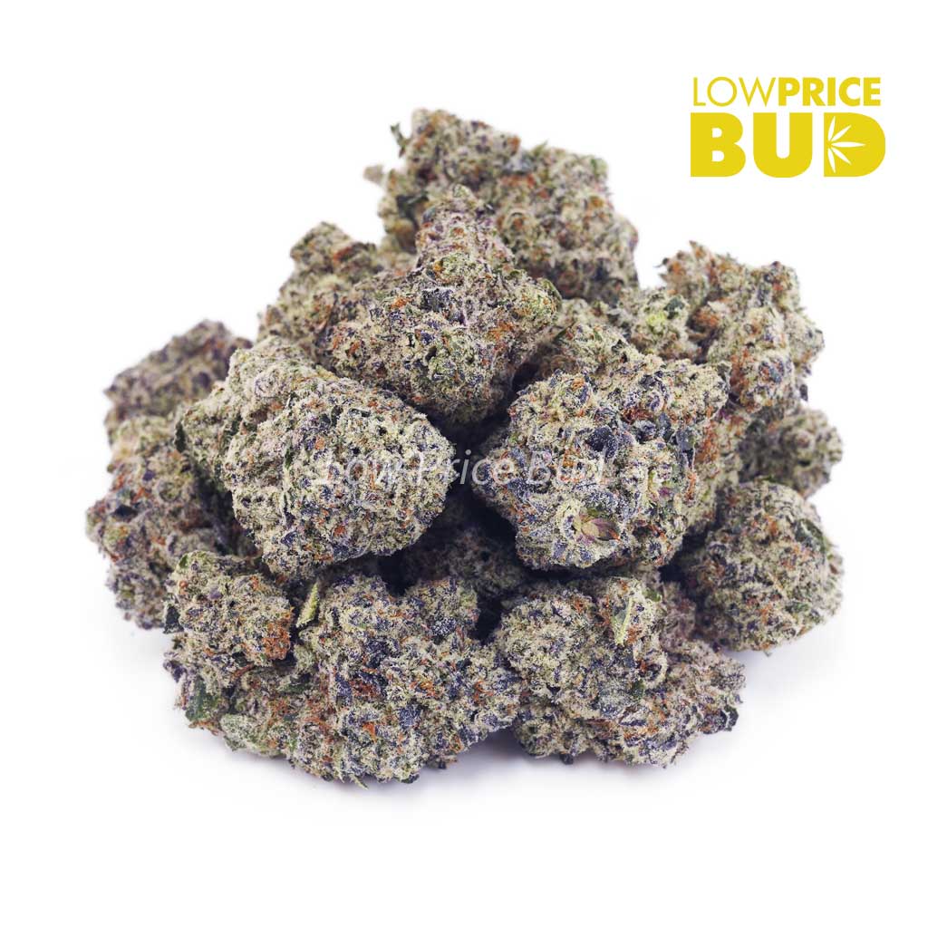 Buy Donkey Breath (Craft Cannabis) online Canada